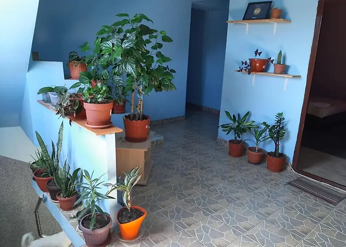 Casa AnaApartamente de Inchiriat Bucuresti